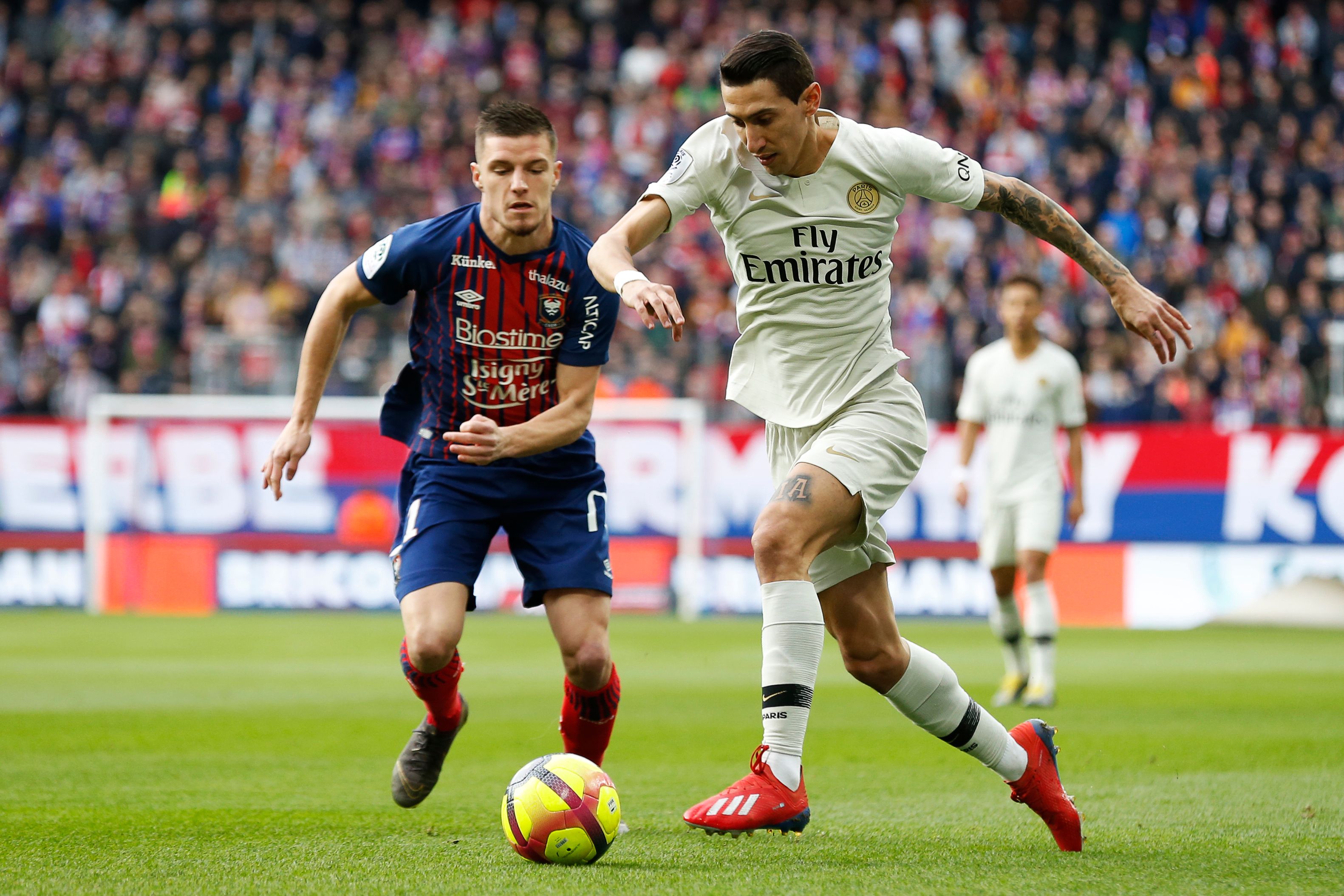 广东喜忧参半！徐杰暴走王洪泽崛起，张皓嘉遭弃麦考尔复出补短板