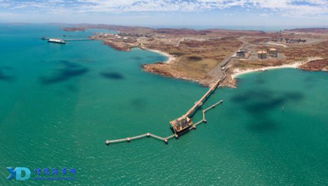 球星晒更衣室照，队内氛围引关注